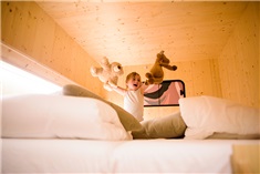 The Green Elephant Hostel